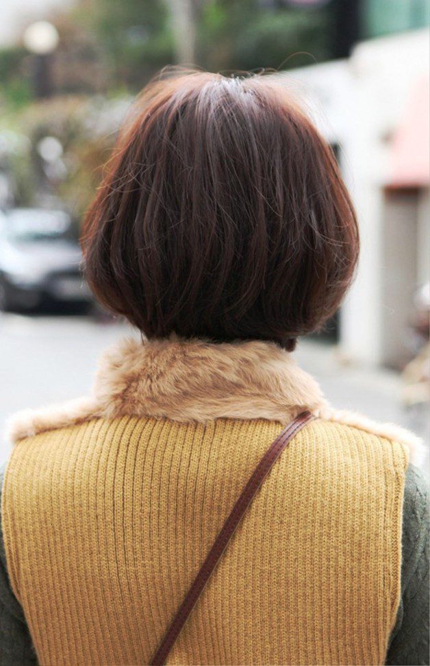 Back View Of Cute Asian Bob Hairstyle
