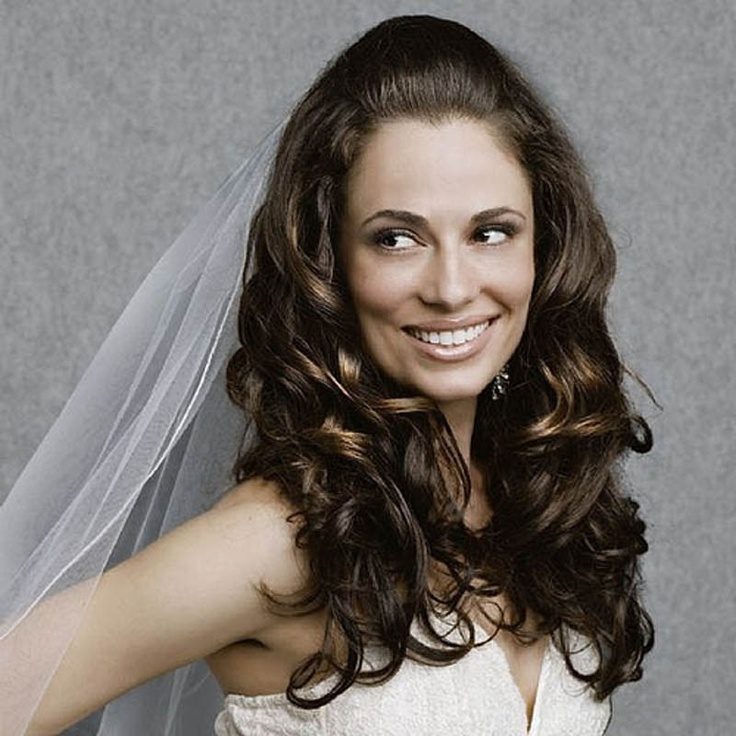 Wedding Hairstyles Long Hair Down With Veil