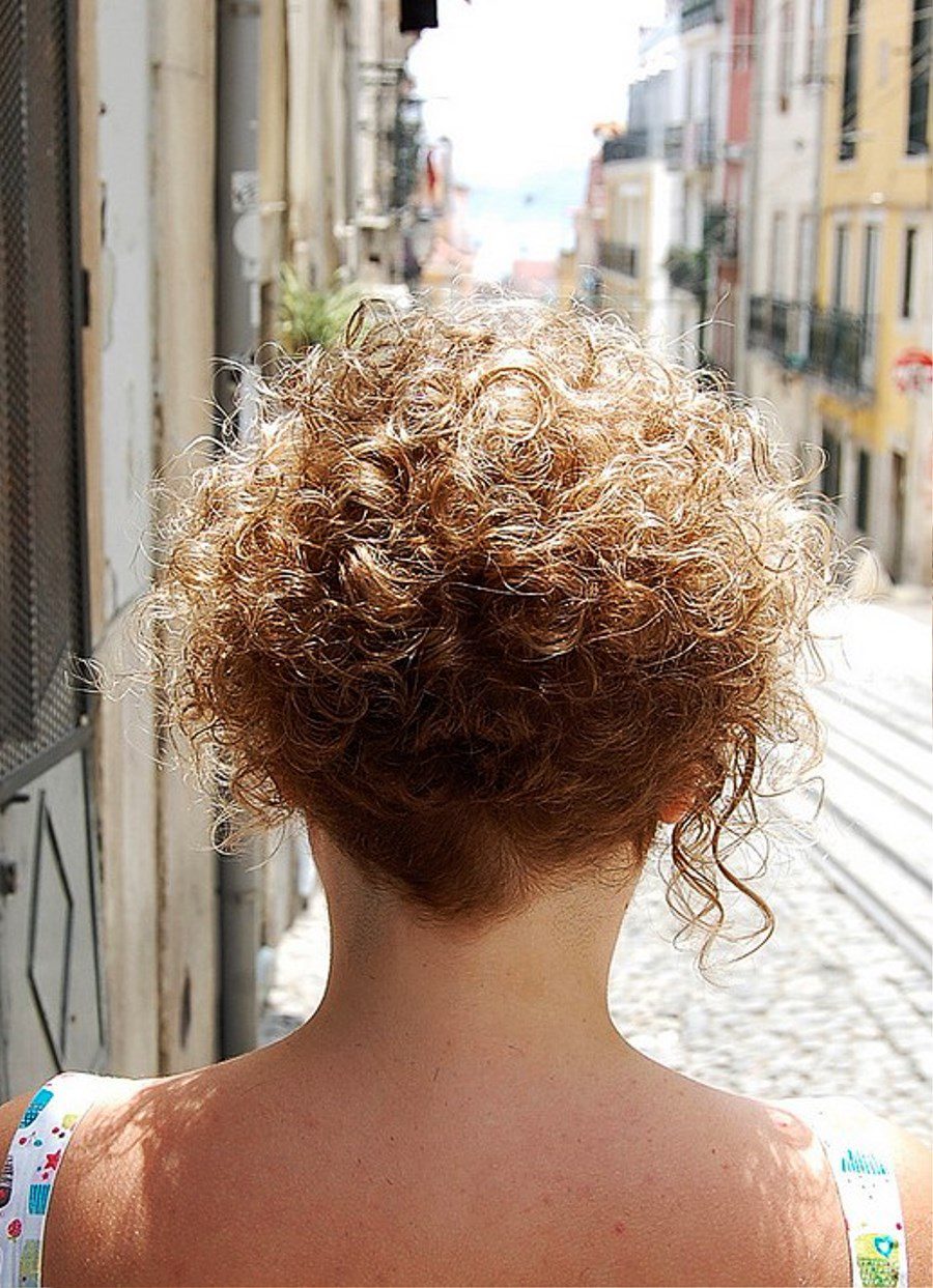 Back View Of Short Curly Hairstyle