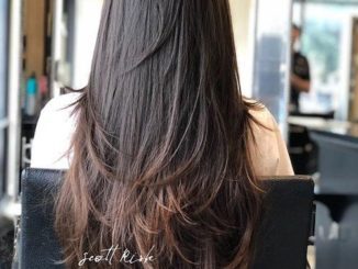 Black and Brown Layered Cut