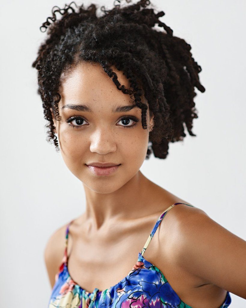 Braided Hairstyles African American Women