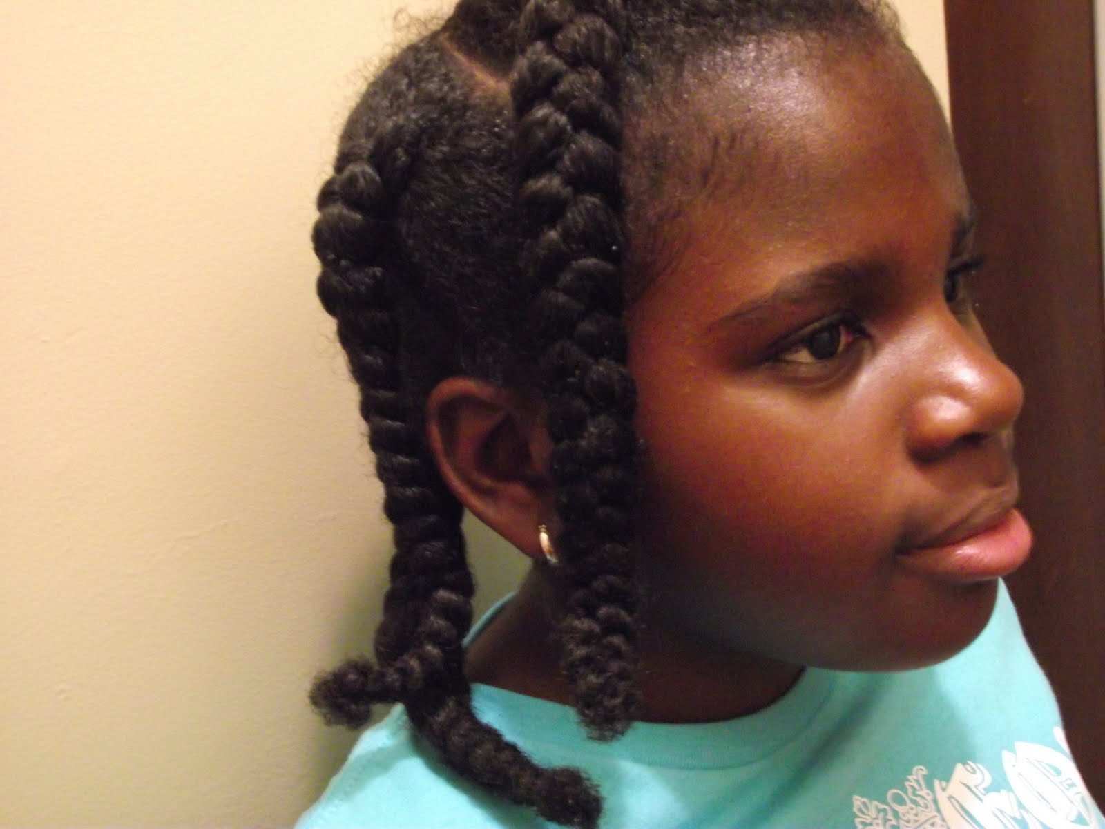 Braided Hairstyles For Girls With Natural Hair