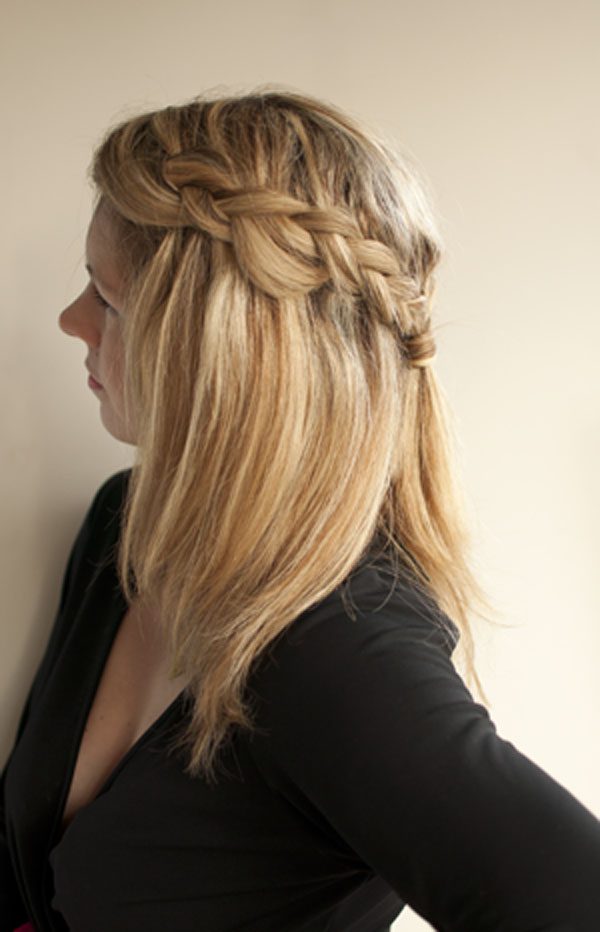 Braided Hairstyles Half Up