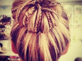 Braided Updo Hairstyle