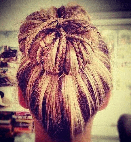 Braided Updo Hairstyle