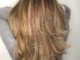 Brown Blonde Hair with Long Layers
