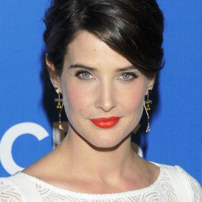 Cobie Smulders Sleek Black Updo Hairstyle