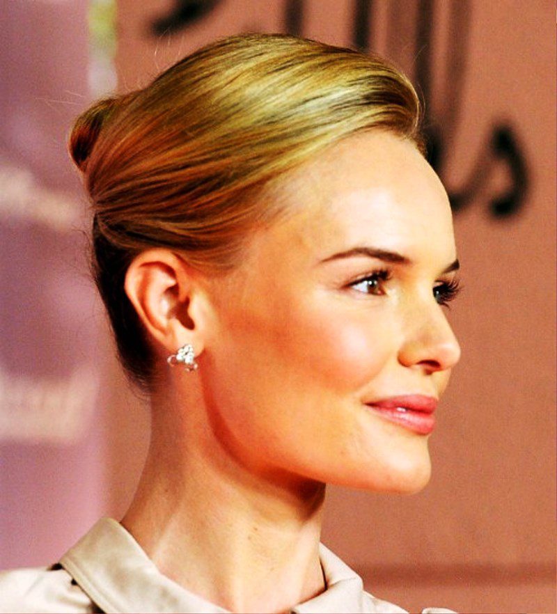 Kate Bosworth Formal Sleek French Twist