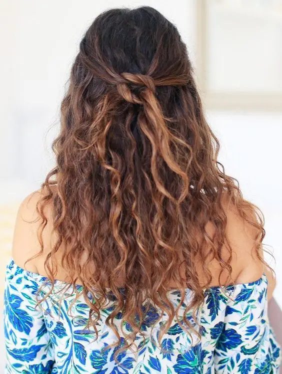 curly half up half down hairstyles 2