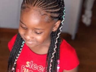 little black girls braided hairstyles